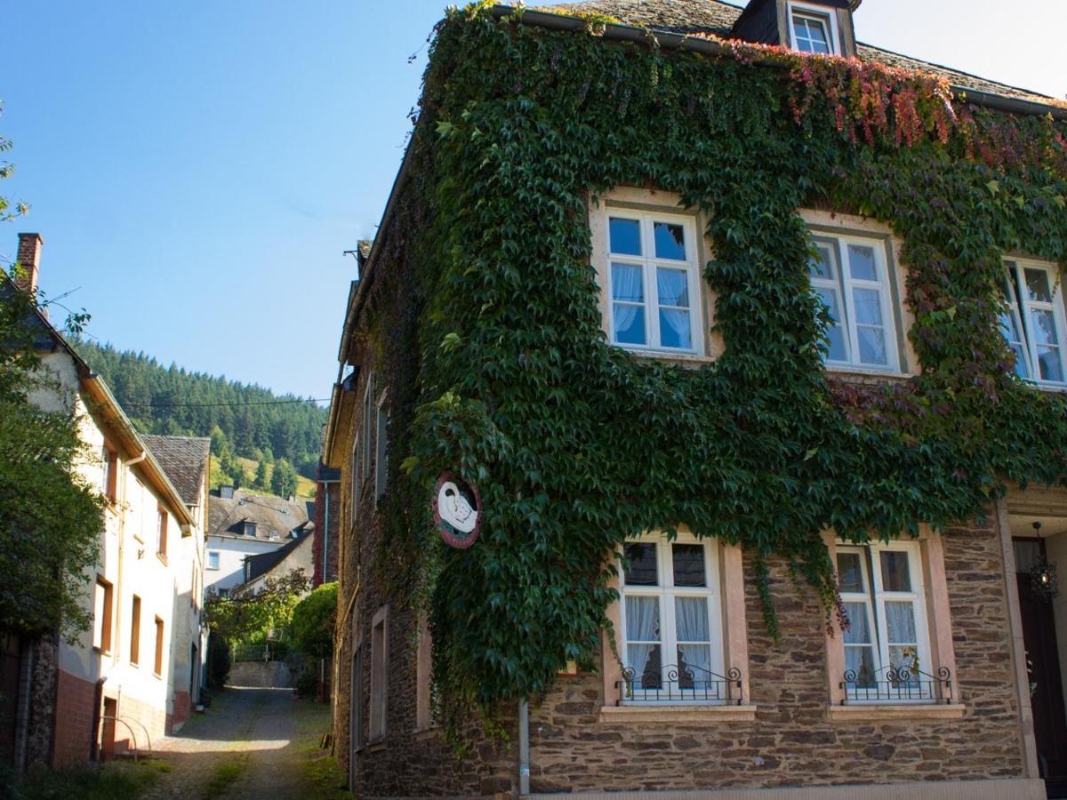 Hotel Zur Post - Burg An Der Mosel Exteriér fotografie